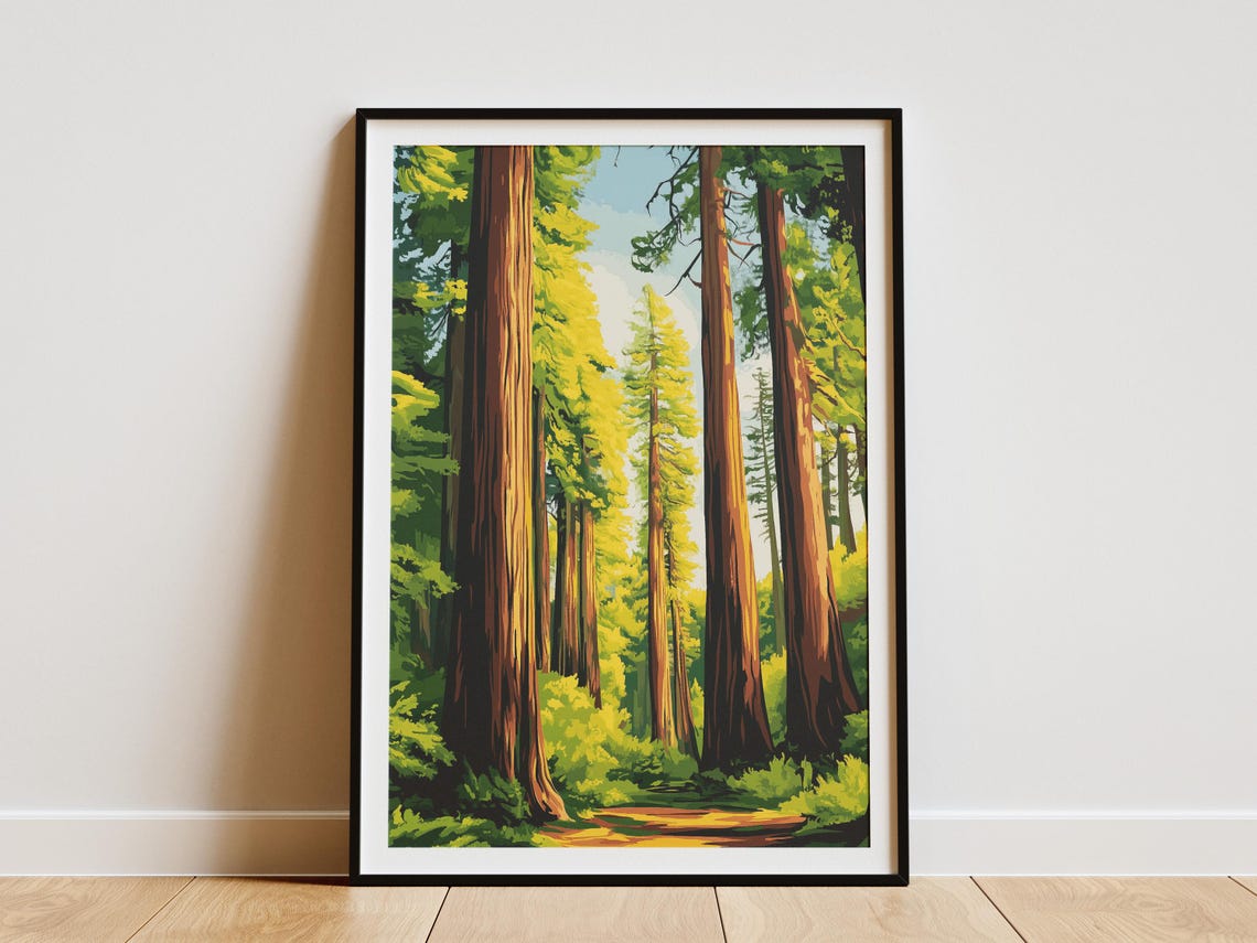 Redwood Forest Giant Tall Trees Sunlit Trail National Park Art Poster