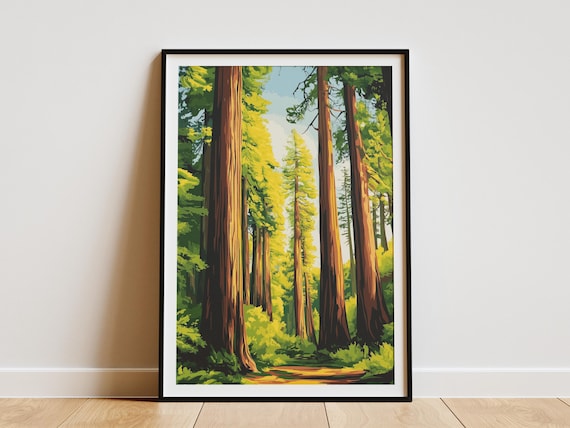 Redwood Forest Giant Tall Trees Sunlit Trail National Park Art Poster