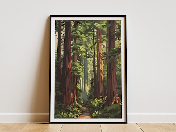 Redwood National Park Towering Forest Trail Vintage Travel Poster