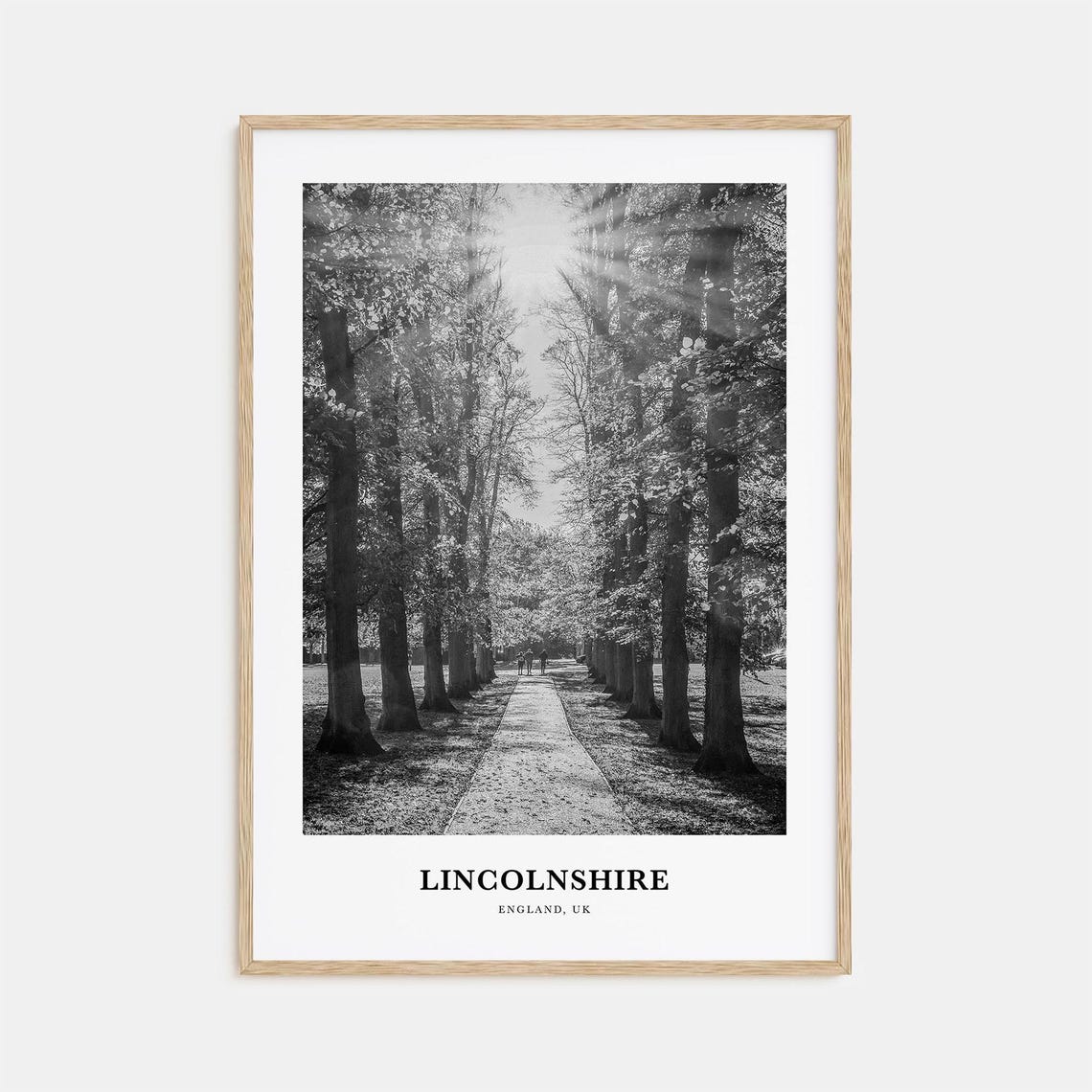 Lincolnshire England Sunlit Tall Tree Avenue Black White Poster