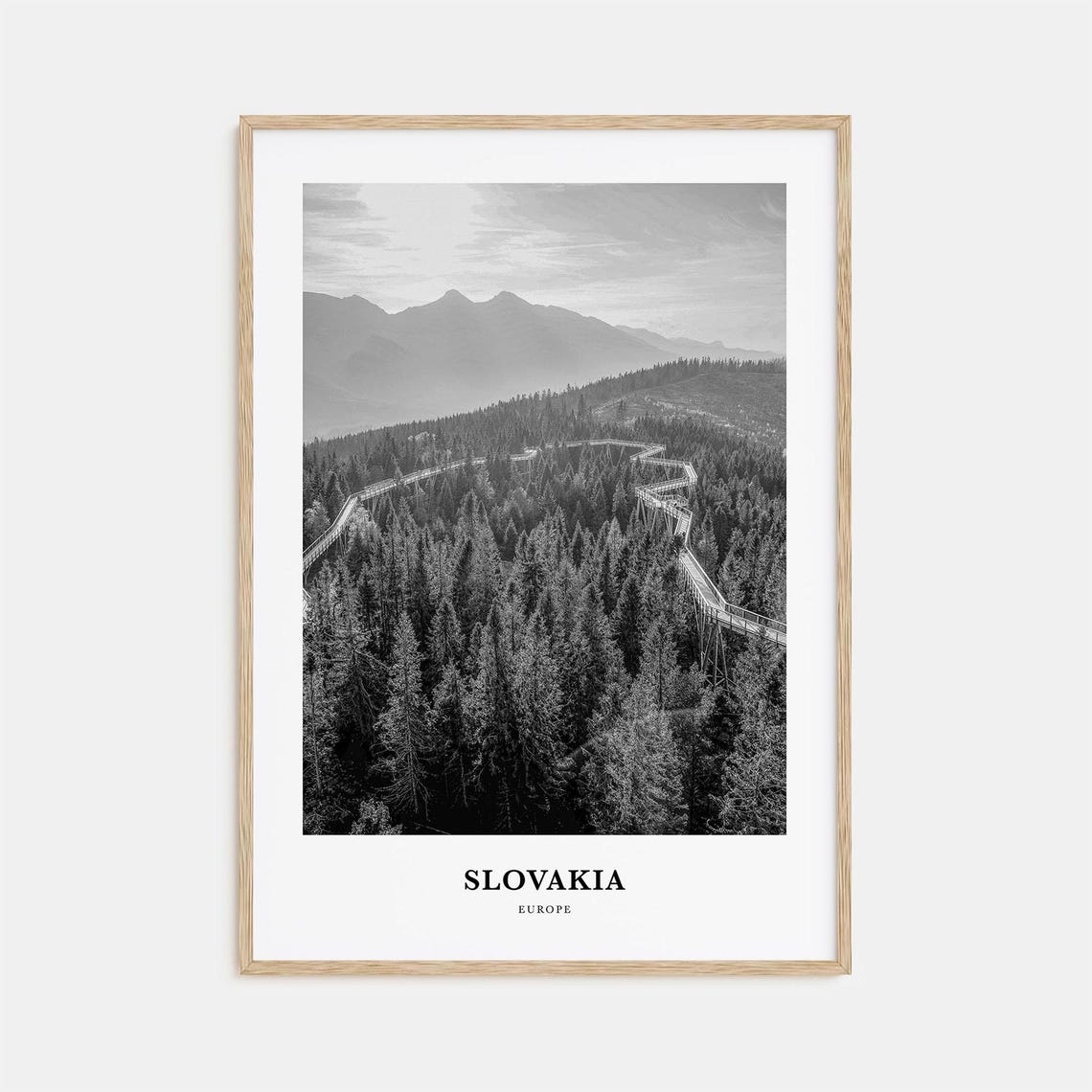 Slovakia Treetop Walkway Over Pine Forest Europe Travel Poster