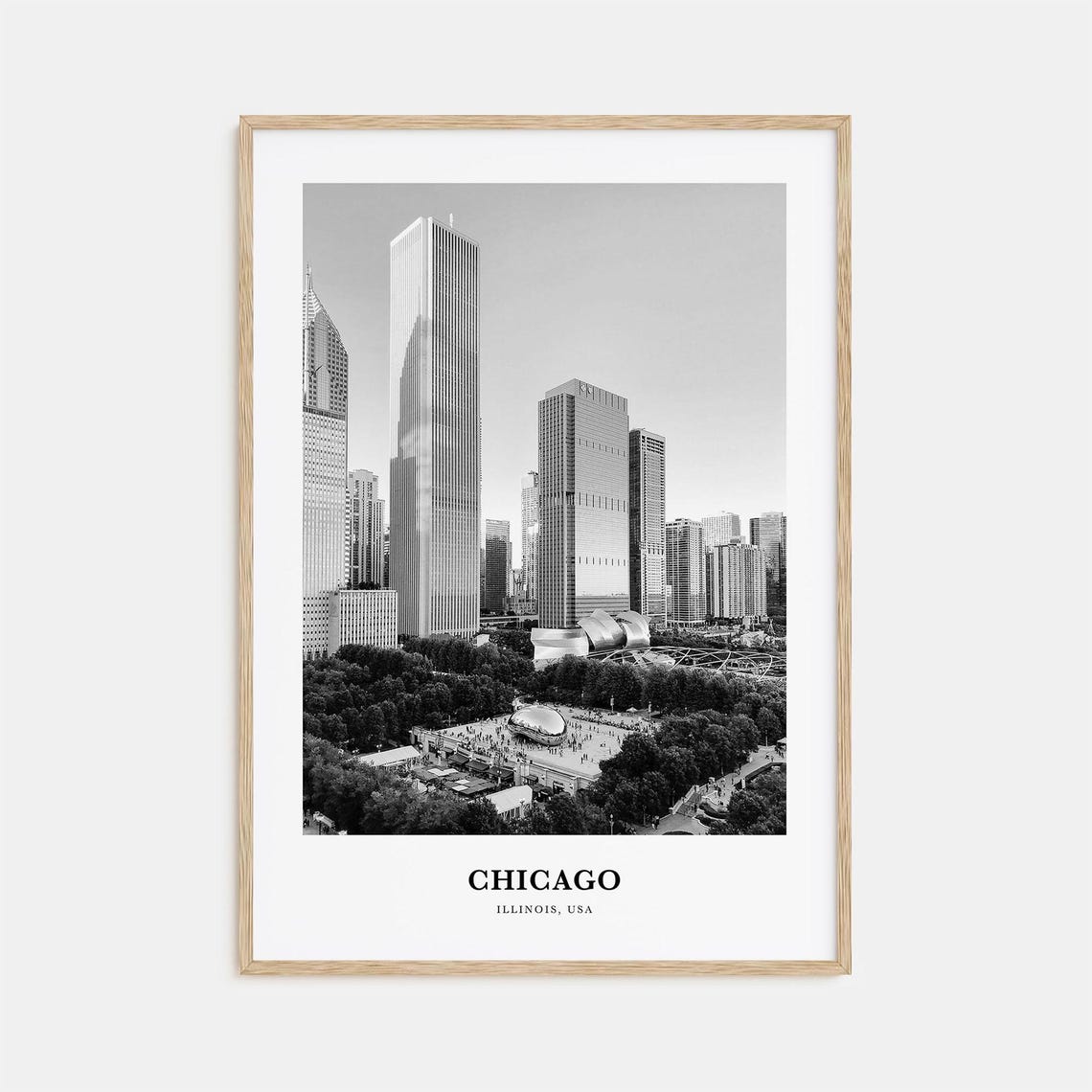 Chicago Illinois Skyline Cloud Gate Park Black and White Travel Poster