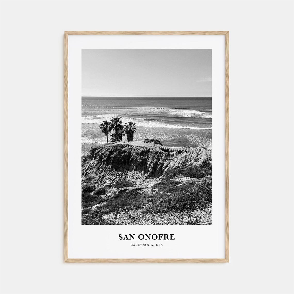 San Onofre California Cliffside Palms Beach Waves Black White Poster