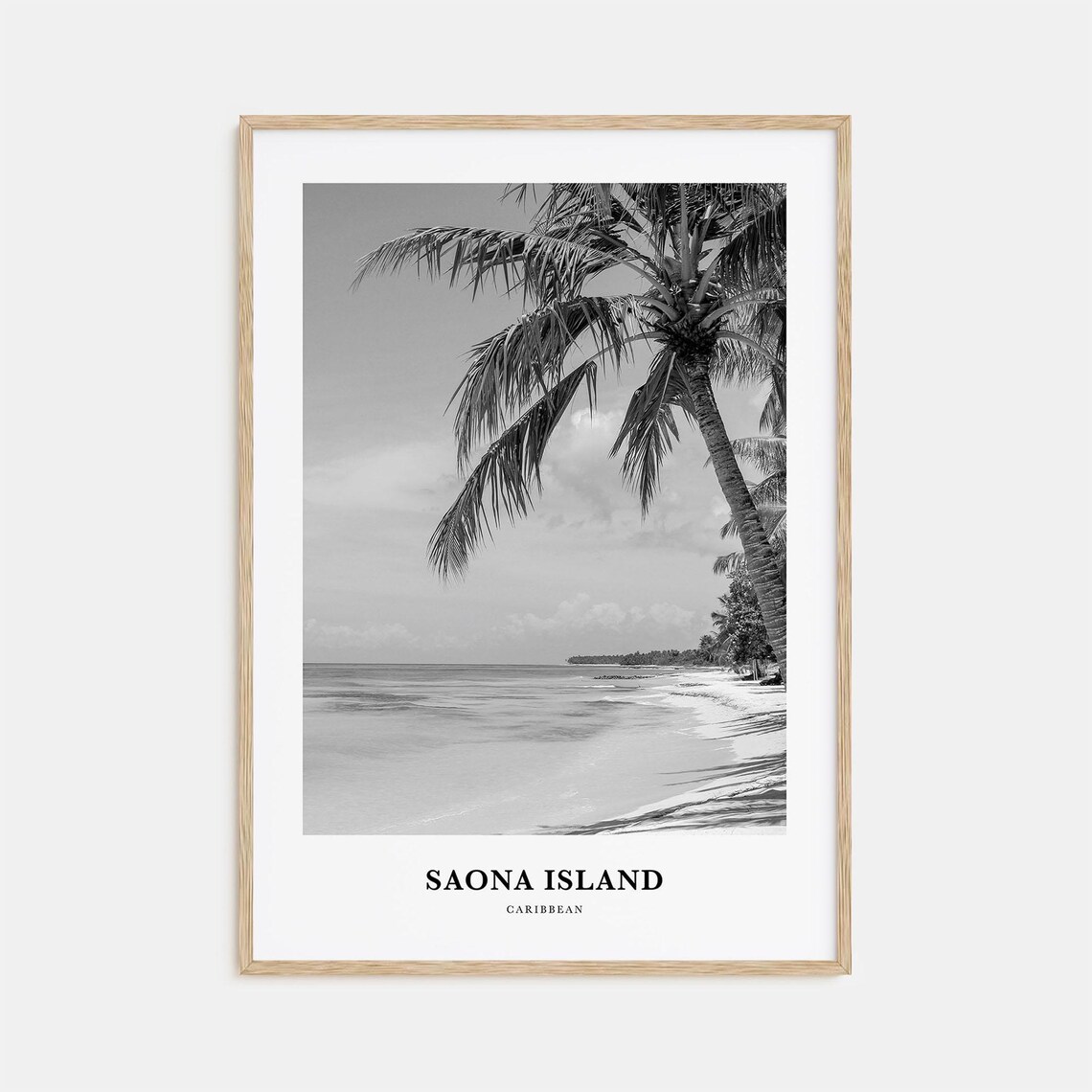 Saona Island Caribbean White Sand Beach Palm Tree Photo Poster