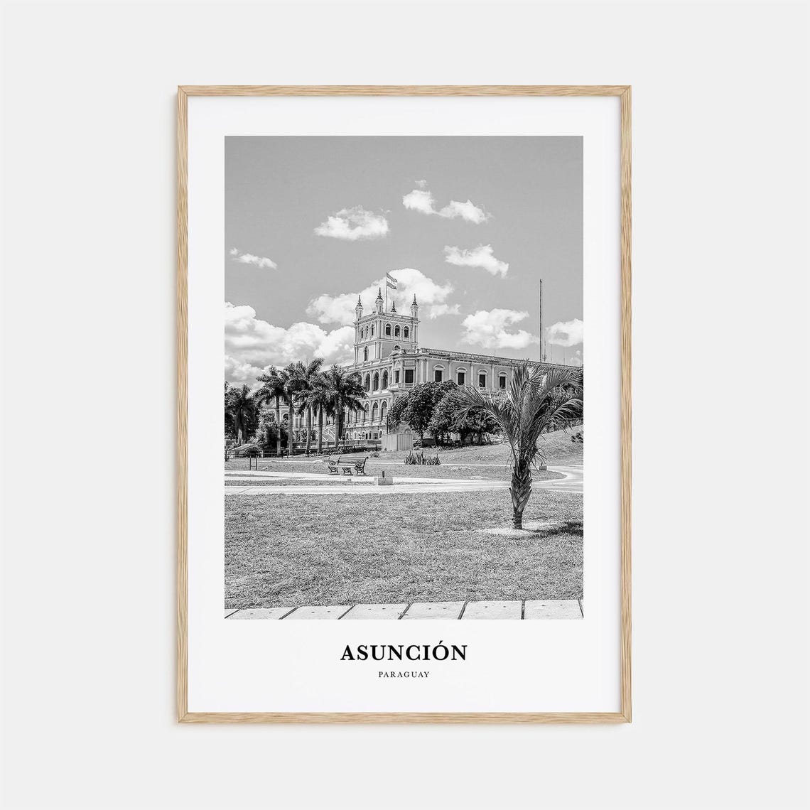 Asuncion Paraguay Government Palace Palm Gardens Travel Poster