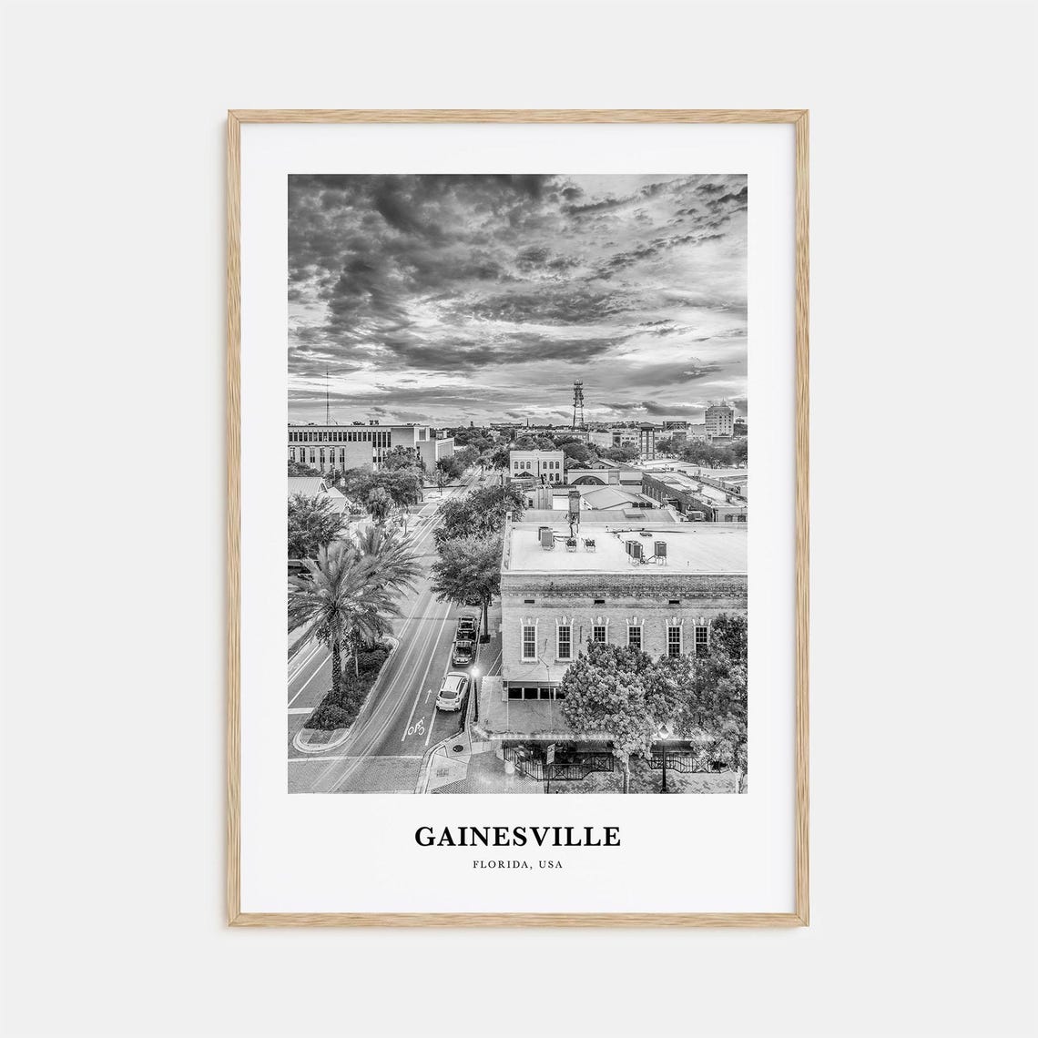 Gainesville Downtown Street with Palms Black and White Travel Poster