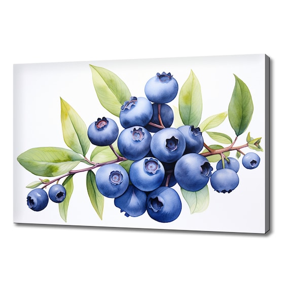 Blueberry Fruits Watercolour Painting Print Fruits Lover Gift Kitchen Restaurant Wall Art Print Colourful Fruits Wall Decor
