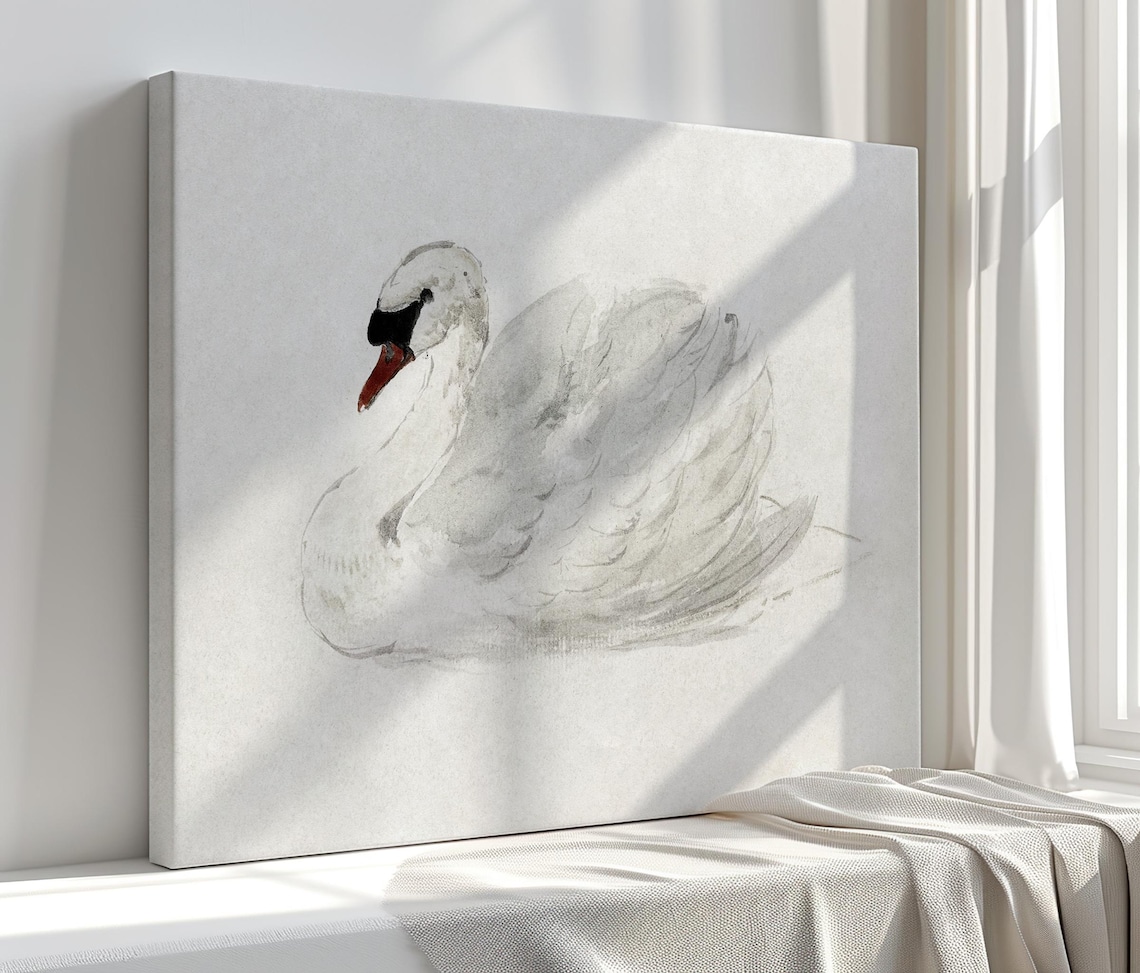 White Swan Minimalist Watercolor Elegant Graceful Bird Art Print
