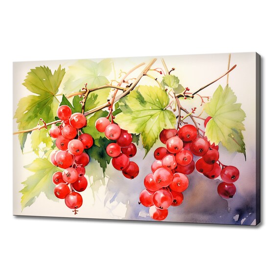 Redcurrant Fruits Watercolour Painting Print Fruits Lover Gift Kitchen Restaurant Wall Art Print Colourful Fruits Wall Decor