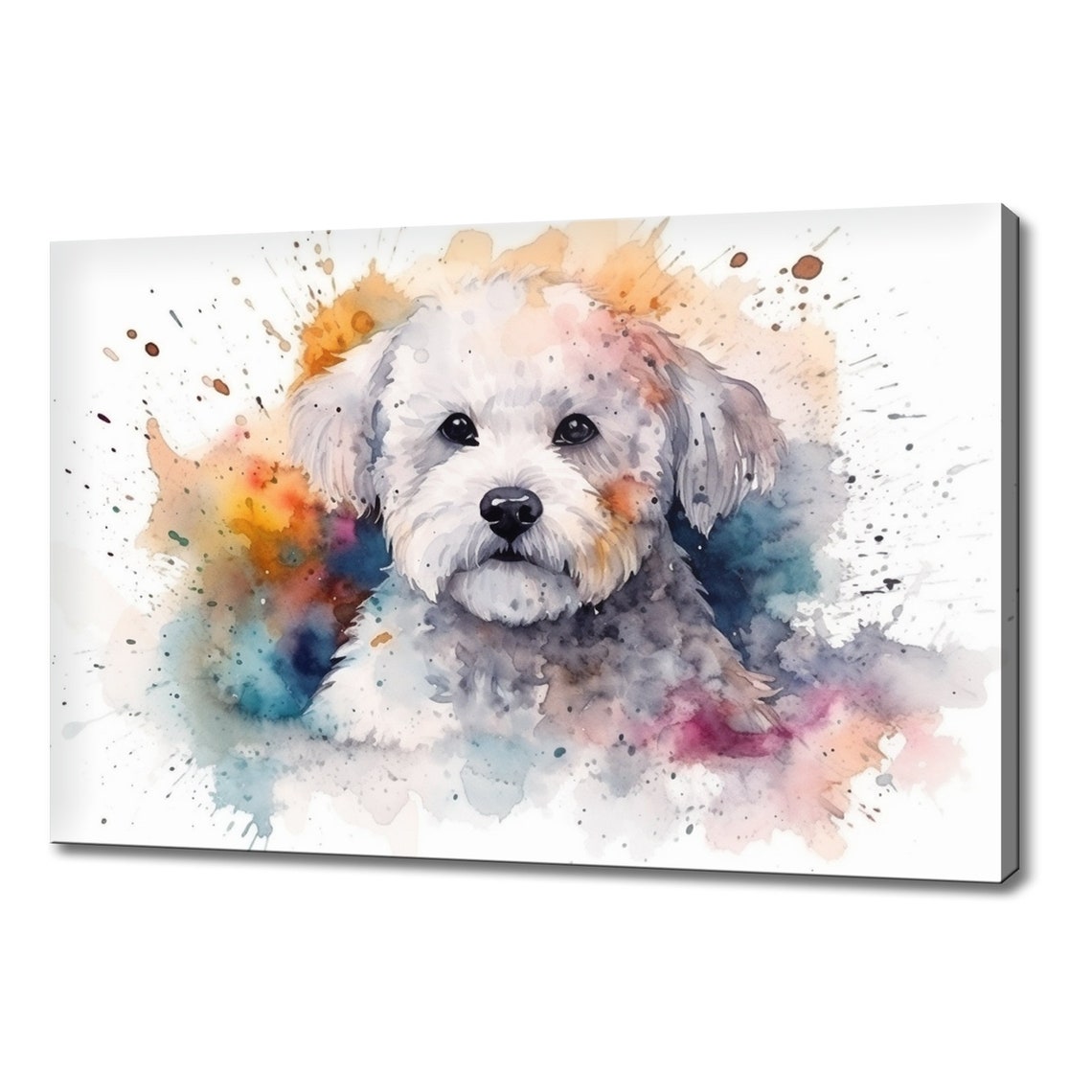 Bichon Frise Fluffy White Dog Rainbow Splash Watercolour Art Print