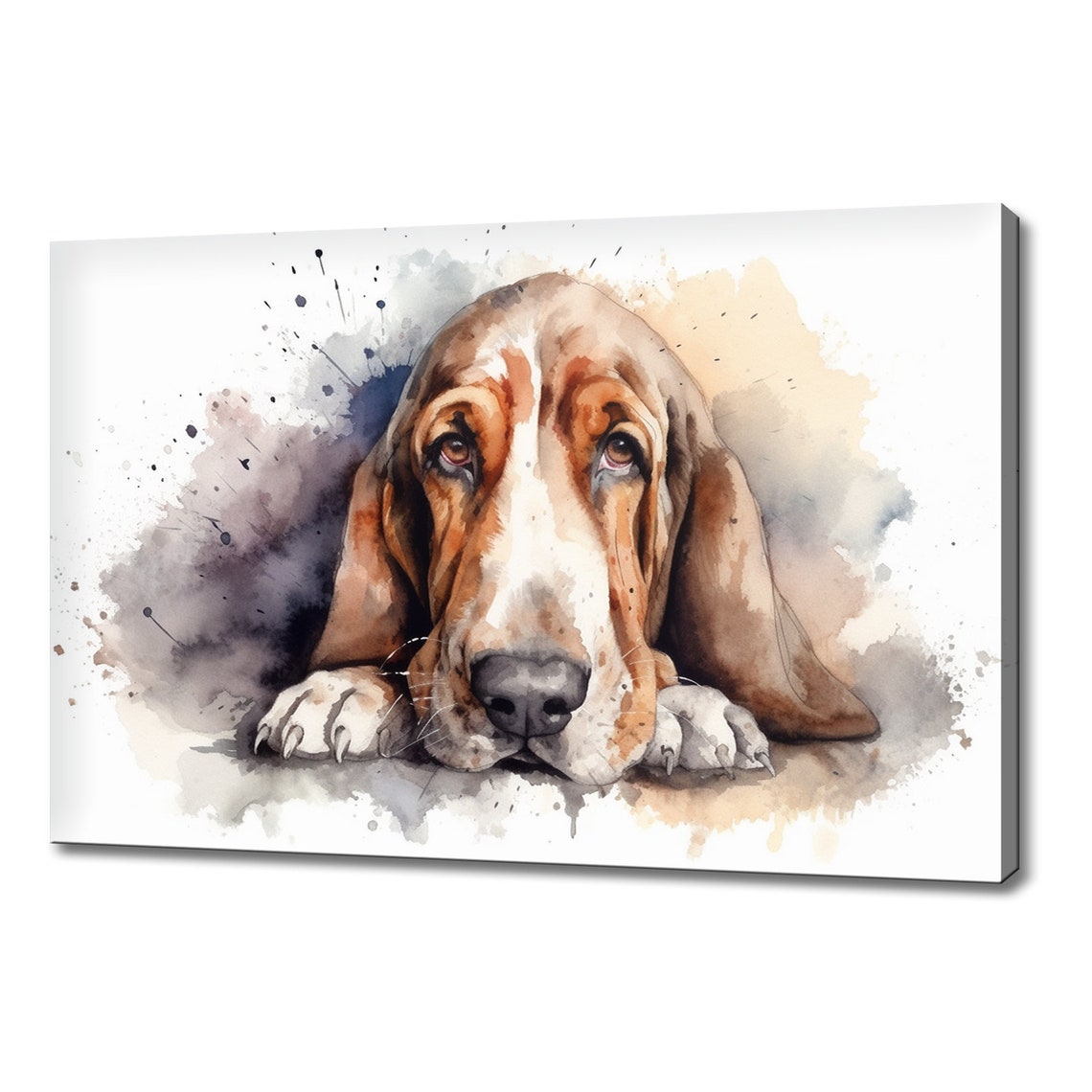 Basset Hound Head On Paws Big Brown Eyes Splash Watercolour Wall Art