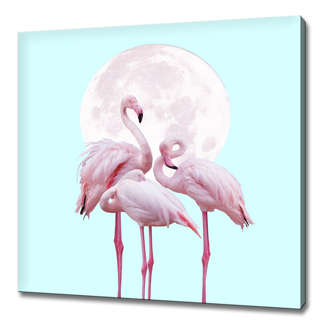 Pink Flamingo Birds Art Print, Wildlife Wall Decor