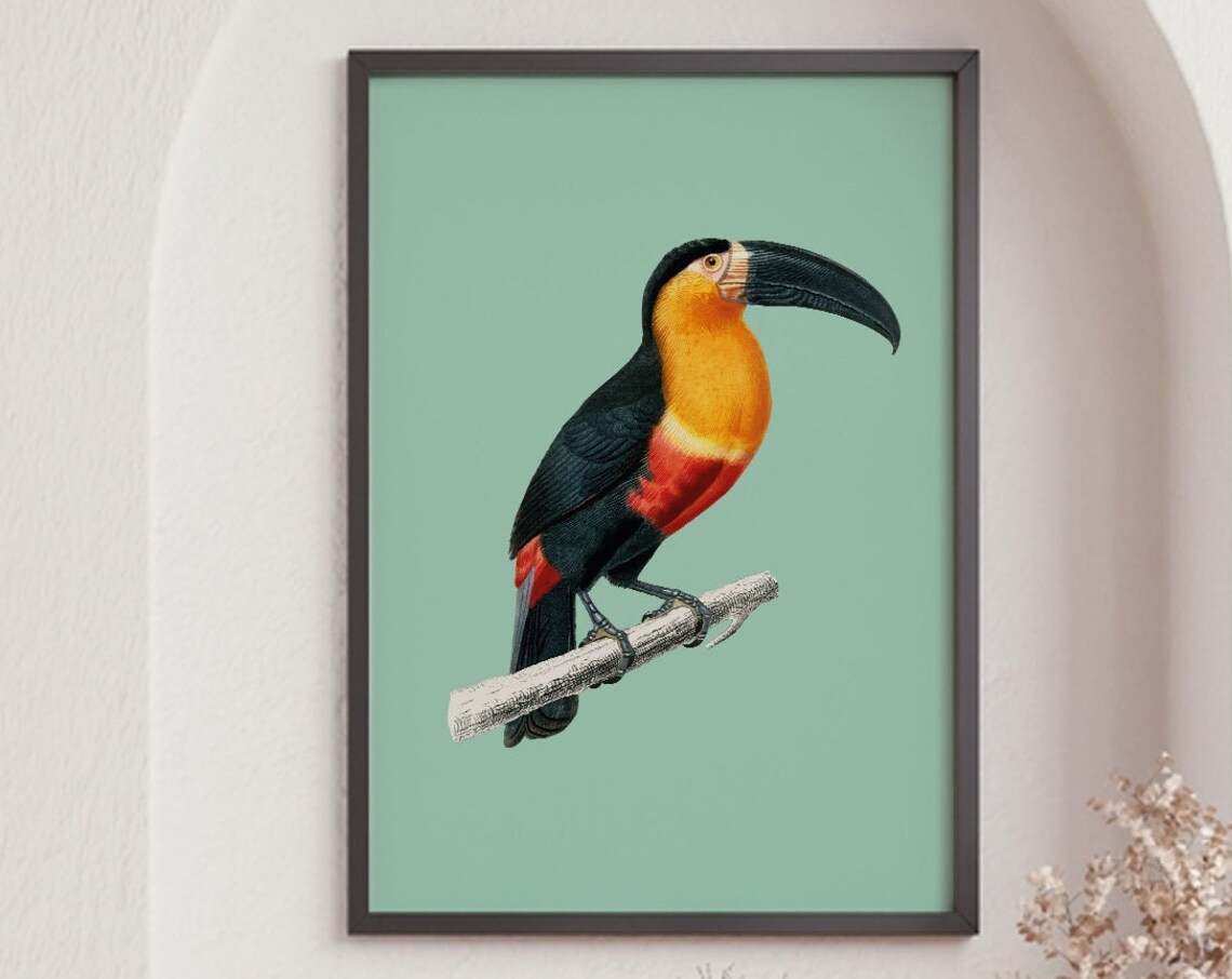 Vintage Toucan Art Print, Tropical Jungle Bird