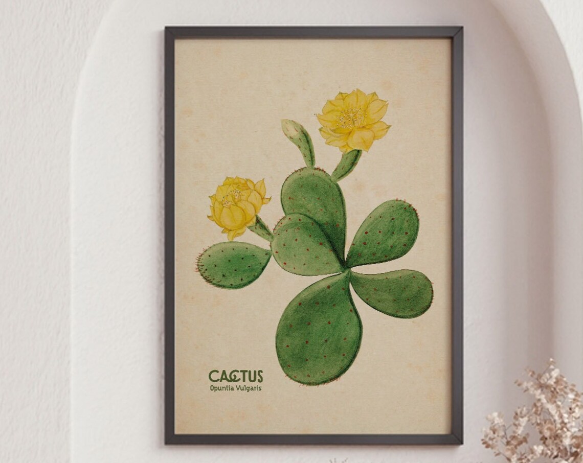 Vintage Botanical Art, Boho Western Decor Print - Image 6