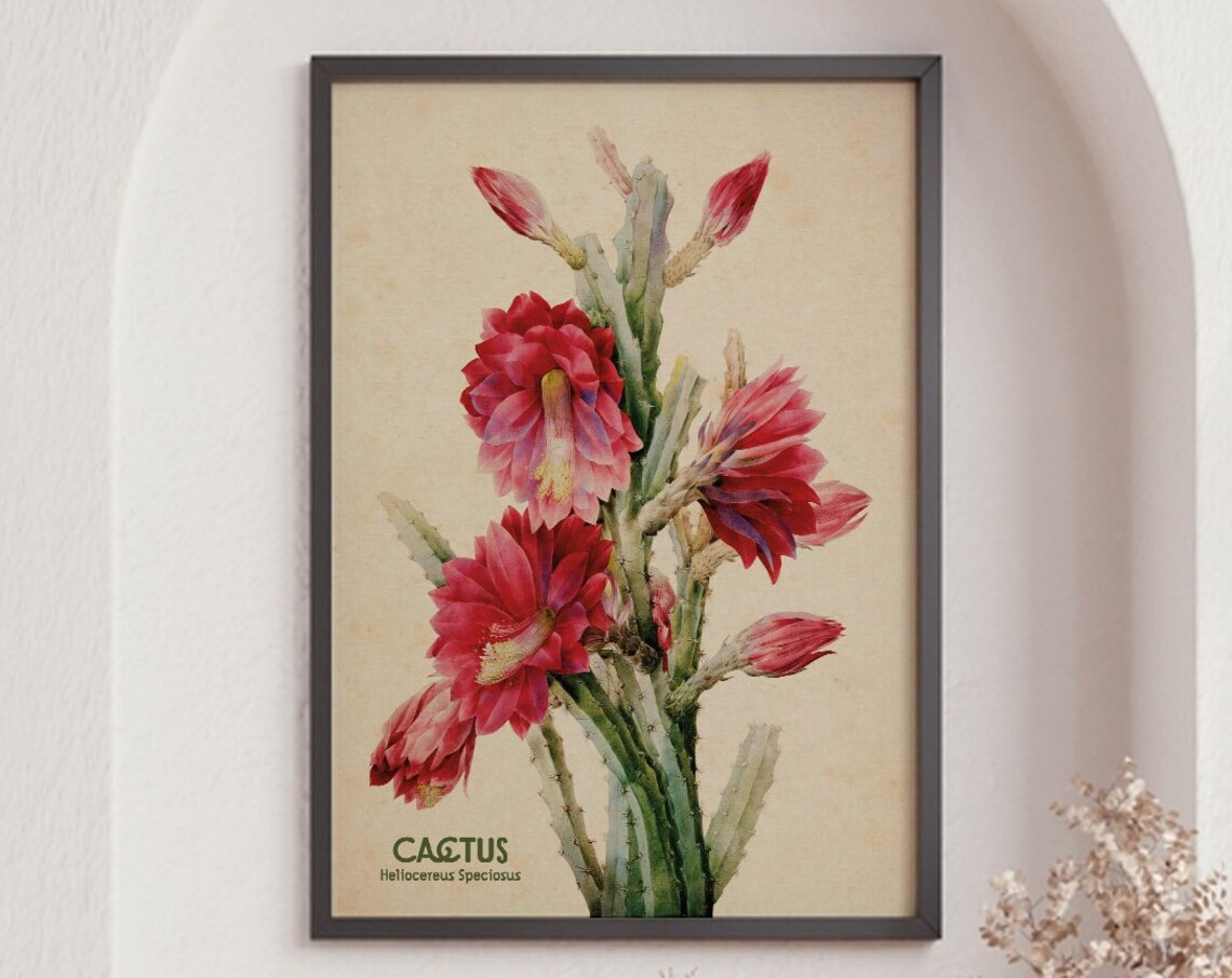 Flowering Desert Cactus Plant Art, Southwestern Decor - Image 6