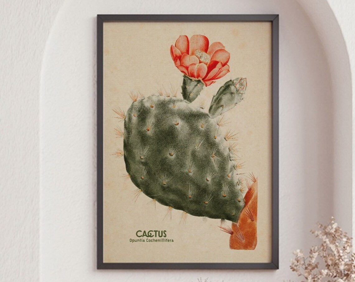 Vintage Cactus Botanical Art Print, Floral Decor