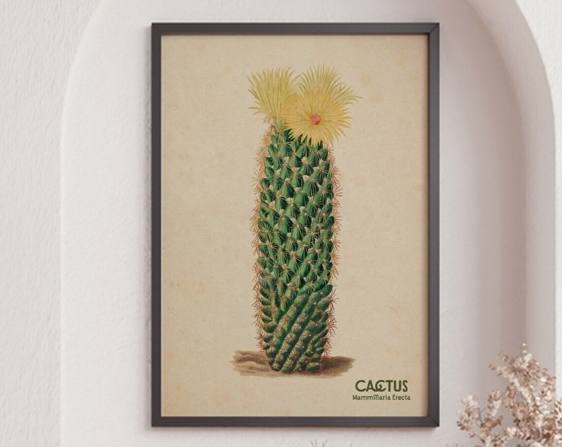 Vintage Cactus Print, Arizona Botanical Art - Image 6
