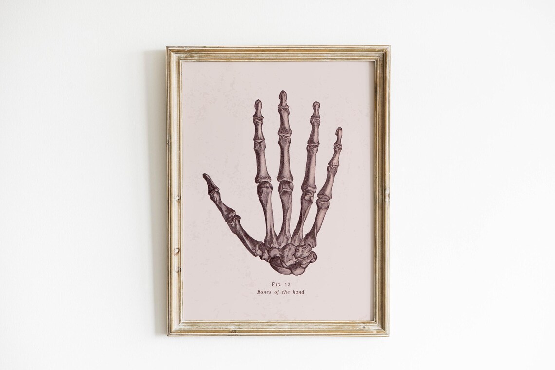 Vintage Anatomy Hand Skeleton Bones Of The Hand Figure 12 Poster - Image 2