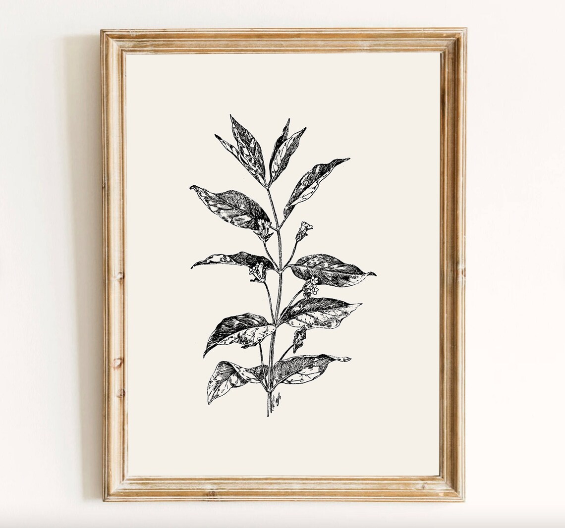 Vintage Botanical Illustration Art Print, Moody Floral - Image 2