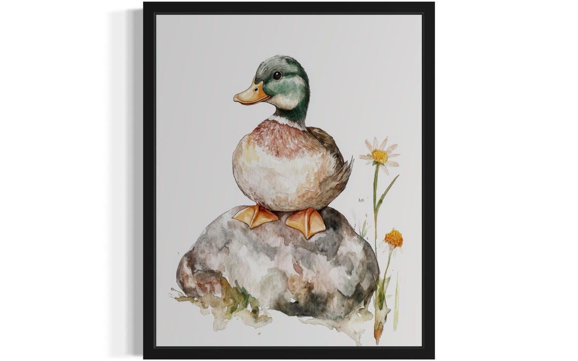 Mallard Drake on a Rock Beside a Daisy Watercolor Bird Poster