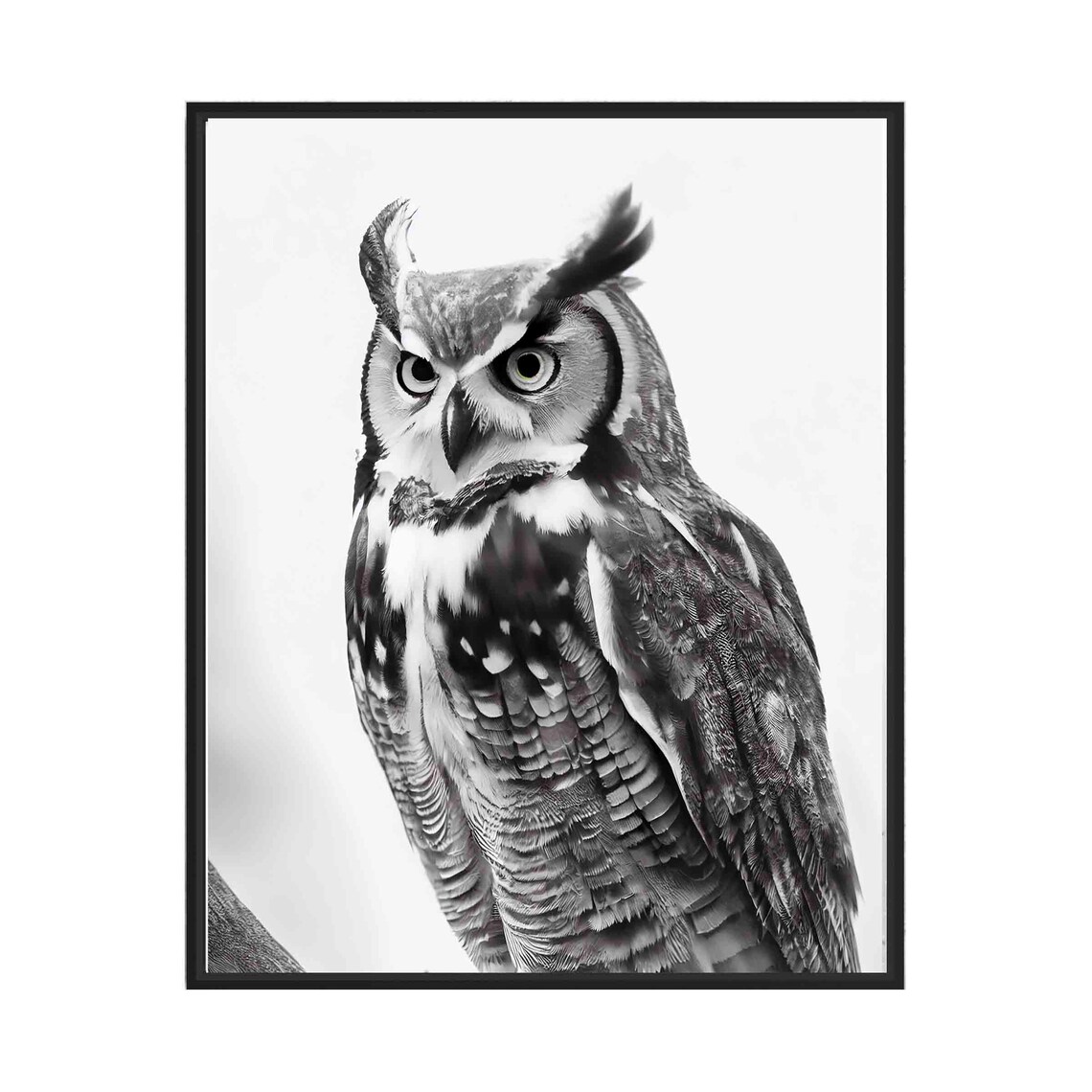 Great Horned Owl Black and White Wild Bird of Prey Portrait Poster