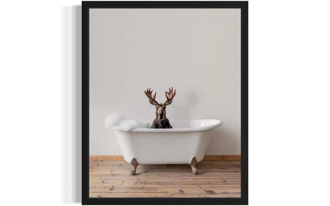 Moose with Antlers Sitting in a White Bubble Bath Tub Photo Poster