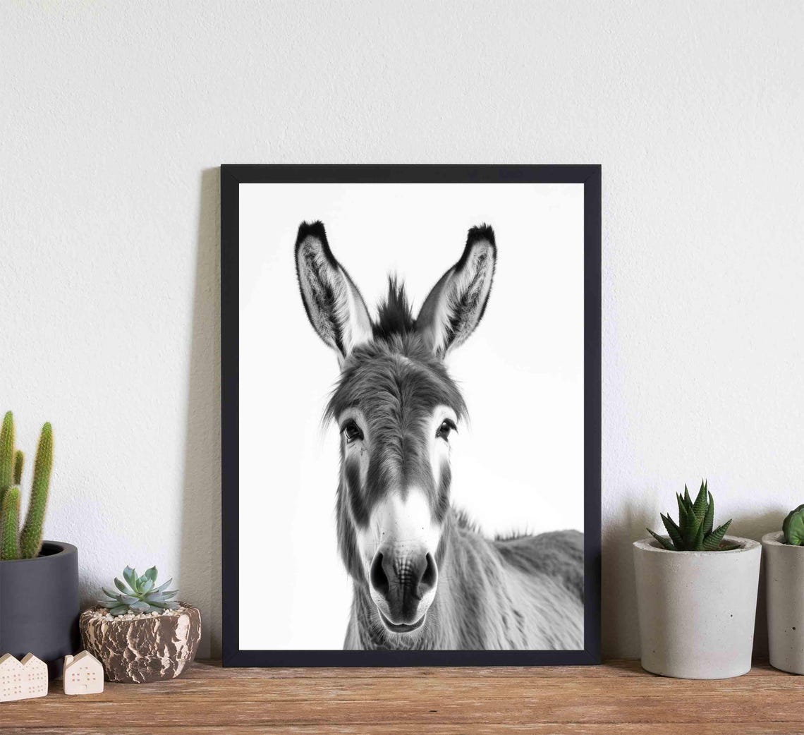 Donkey Black and White Long Eared Farm Animal Front Portrait Poster - Image 3