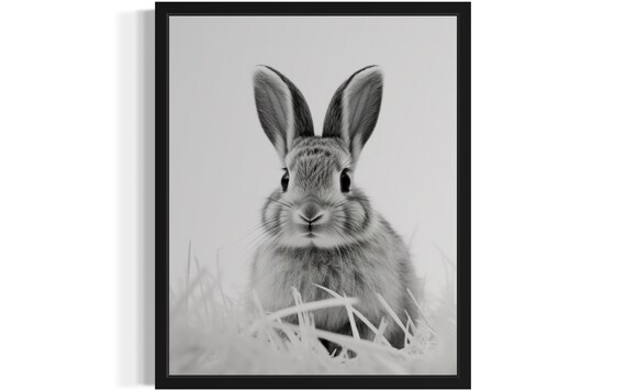 Rabbit Close-Up Monochrome Wildlife Photography Decor Poster