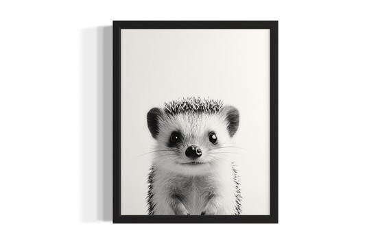 Hedgehog Animal Black And White Poster Art Print Living Room Wall Original Paint Artwork Decor