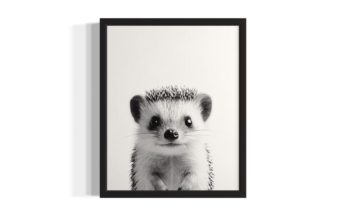 Baby Hedgehog Black And White Close Up Portrait Cute Wildlife Poster