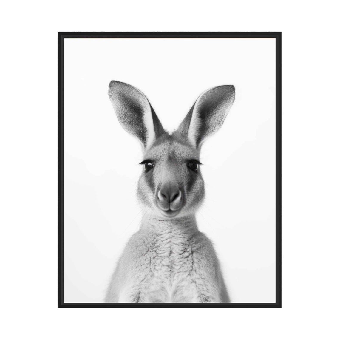 Friendly Kangaroo Face Front View in Black and White Portrait Poster