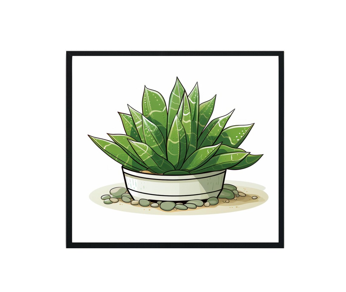 Haworthia Plants Art Print, Botanical Decor