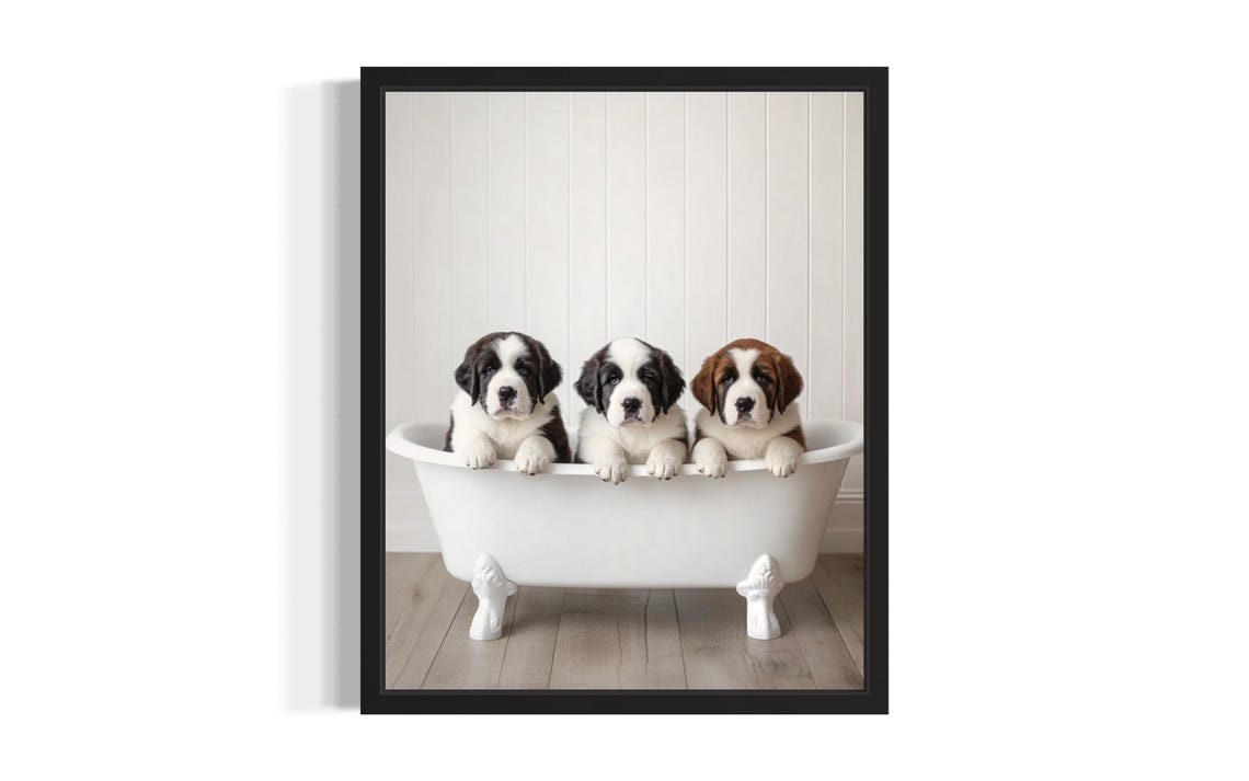 Three Saint Bernard Puppies in White Clawfoot Bathtub Cute Poster