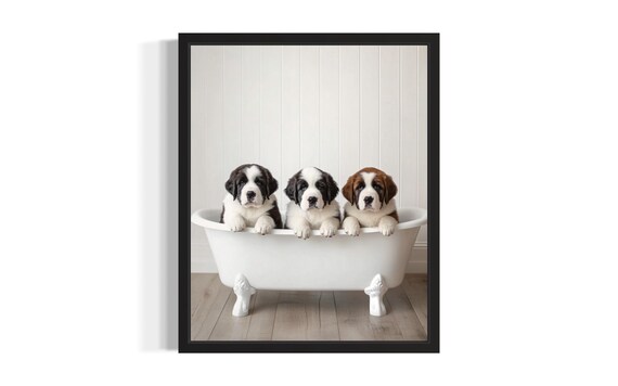Three Saint Bernard Puppies in White Clawfoot Bathtub Cute Poster