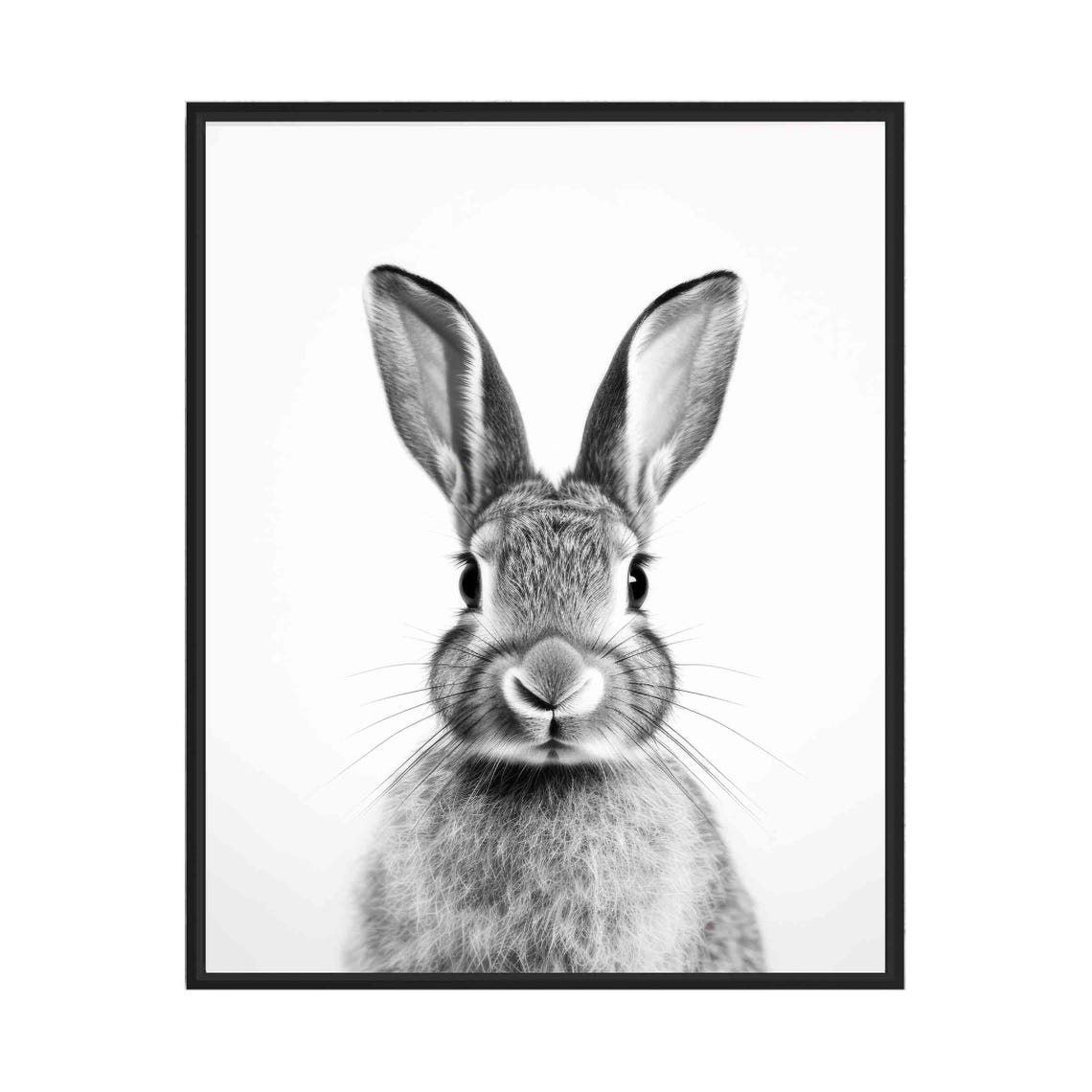 Black And White Rabbit Front Portrait Minimalist Decor Poster