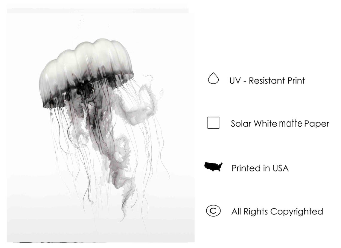 Jellyfish Black And White Animal Art Print Wall Art Poster Original Paint Artwork Artwork Decor - Image 3