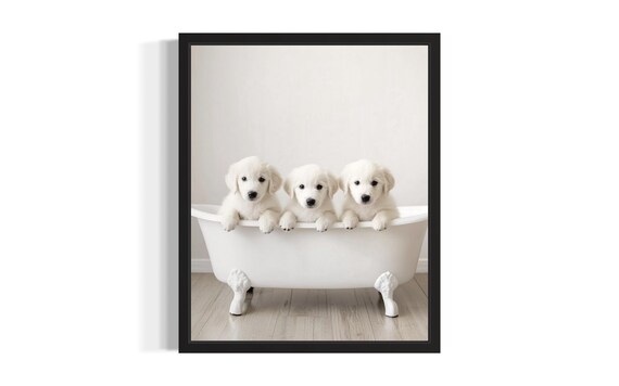 Three Fluffy White Puppies in a Clawfoot Tub Adorable Bathroom Dog Poster