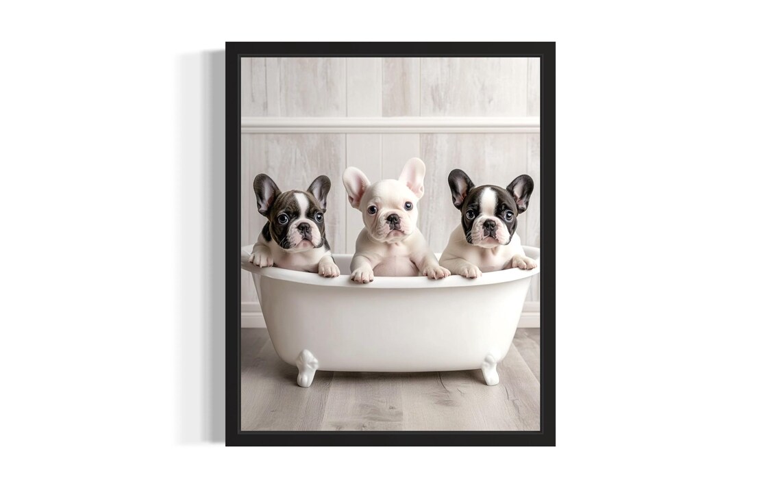 Three French Bulldog Puppies in a White Clawfoot Bathtub Poster