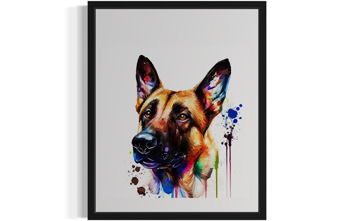 Belgian Malinois Focused Profile Watercolor Splash Portrait Dog Poster