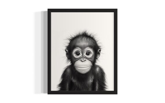 Baby Orangutan Close Up Black And White Primate Portrait Poster