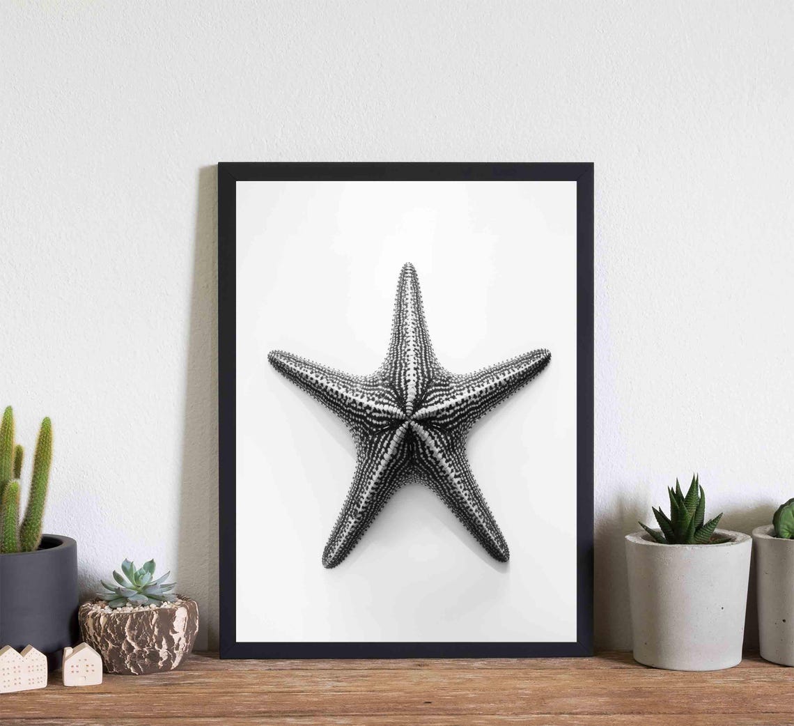 Starfish Black And White Animal Art Print Wall Art Poster Original Paint Artwork Artwork Decor - Image 4
