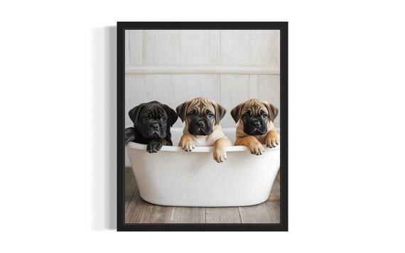Mastiff Puppies In Bathtub Adorable Black And Fawn Puppy Trio Poster