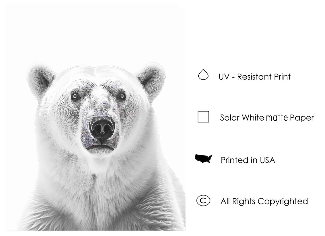 Striking Polar Bear Face Portrait in Black and White Art Poster - Image 3