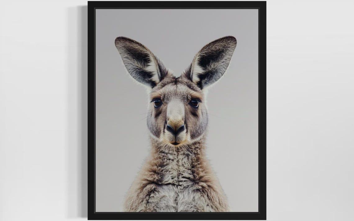 Curious Kangaroo Face Close-Up Minimalist Wildlife Photo Poster
