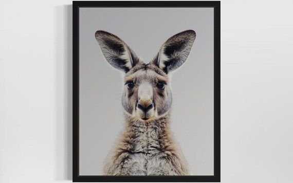 Curious Kangaroo Face Close-Up Minimalist Wildlife Photo Poster