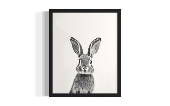 Brown Hare Baby Black And White Nursery Animal Portrait Poster