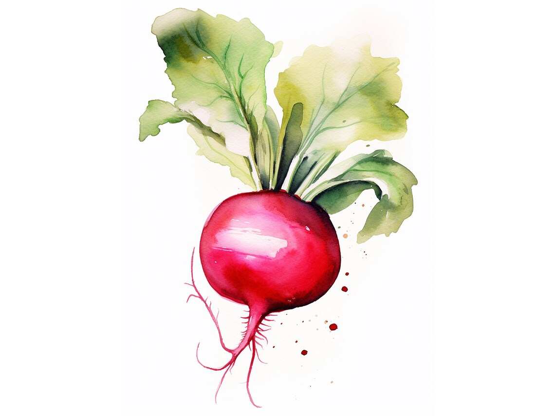 Radish Watercolor Painting, Rustic Farmhouse Art Print