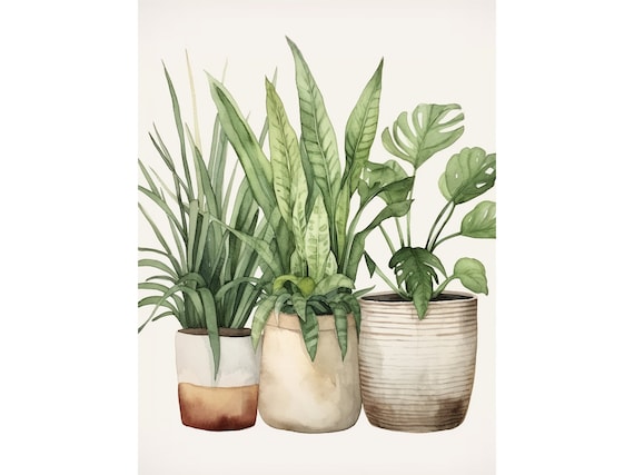 House Plant Botanical Watercolor Art Print, Monstera