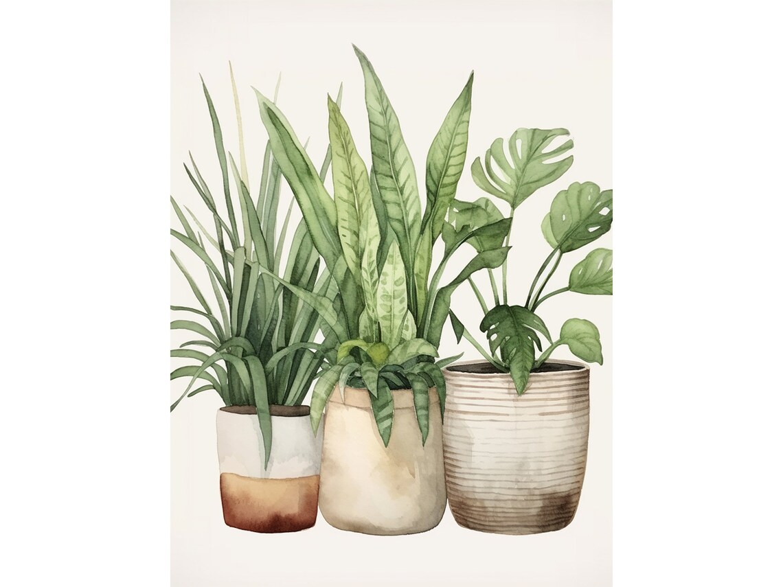 House Plant Botanical Watercolor Art Print, Monstera