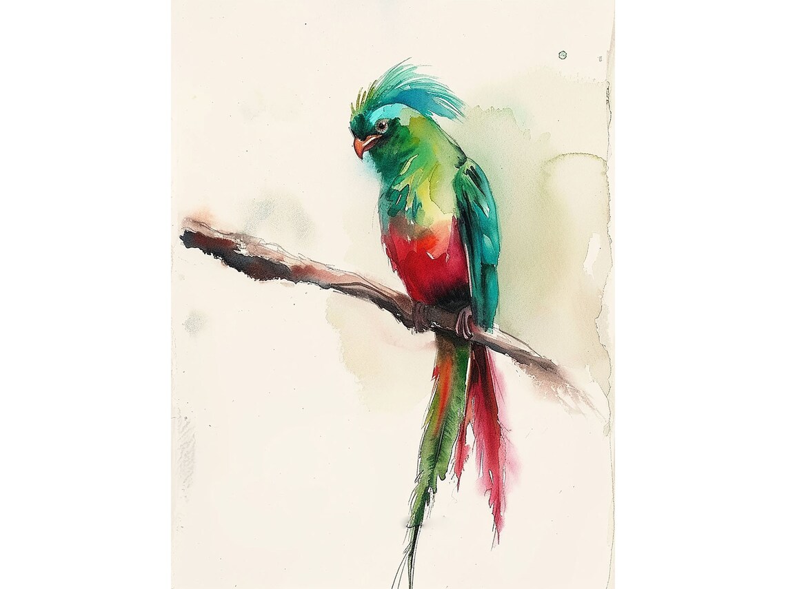 Quetzal Bird Watercolor Art Print, Guatemalan Bird